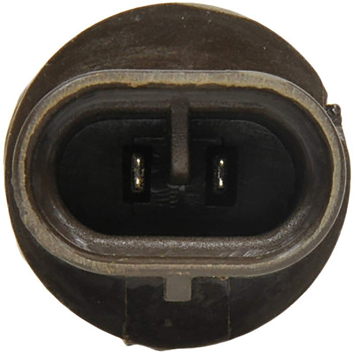 SYLVANIA 899 Basic Halogen Bulb for Fog & Headlight 12V 37.5W 1000lm