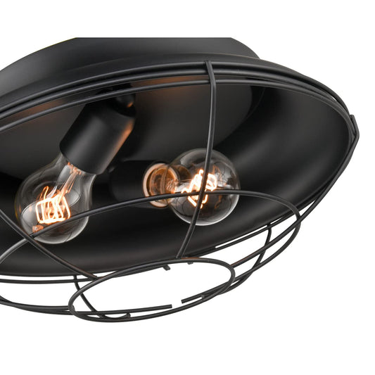 Millennium Lighting Matte Black 2-Light Indoor/Outdoor Flush Mount Fixture