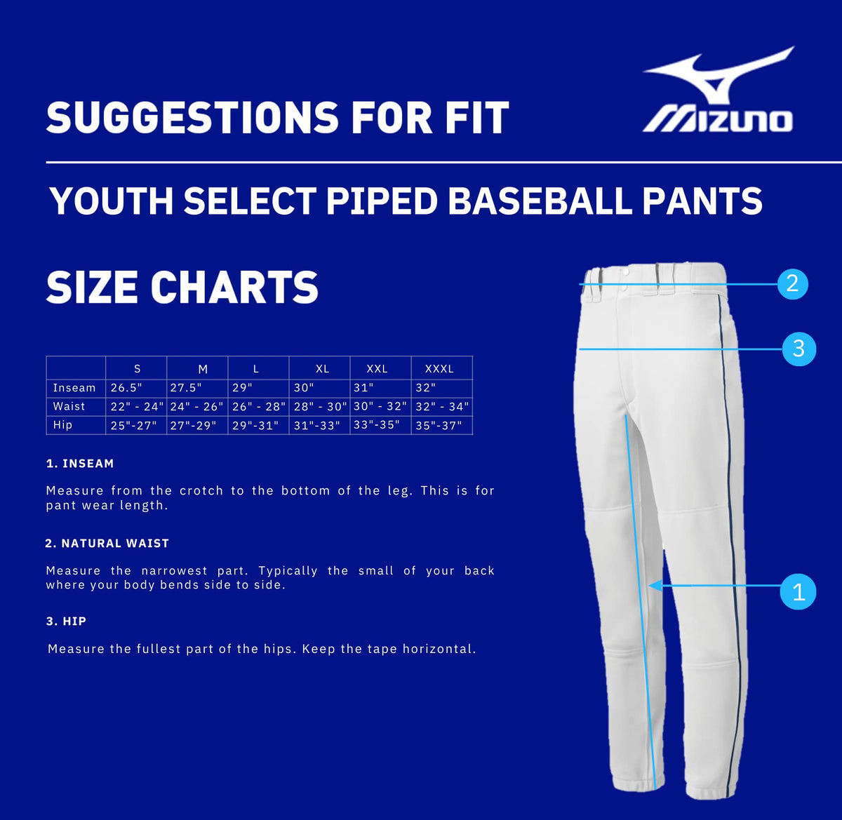 Mizuno Youth Premier Piped Baseball Pants, Large Grey-Royal
