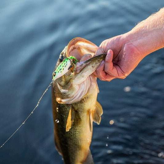 Googan Baits Filthy Frog 5/8oz Night Club Weedless Bass Lure Fishing Tool