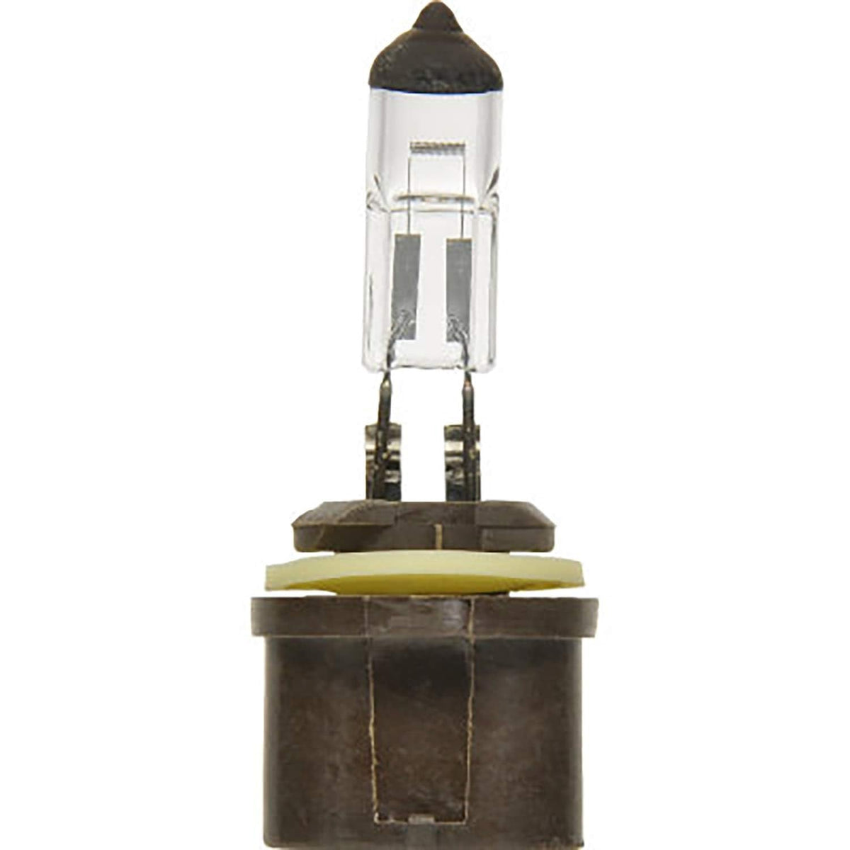 SYLVANIA 899 Basic Halogen Bulb for Fog & Headlight 12V 37.5W 1000lm