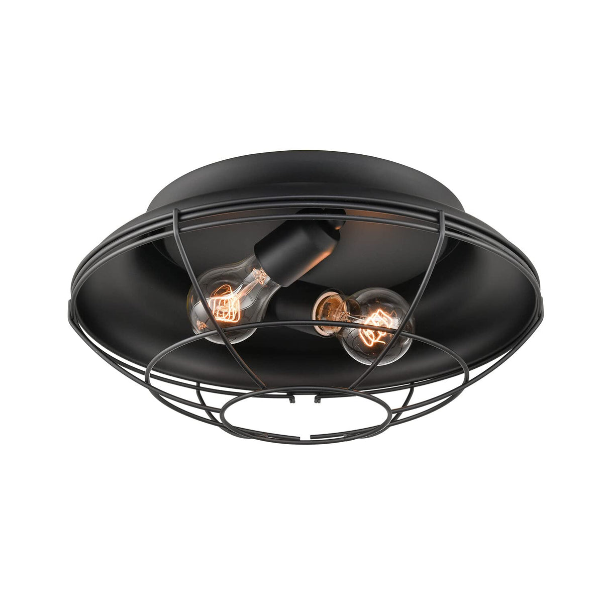 Millennium Lighting Matte Black 2-Light Indoor/Outdoor Flush Mount Fixture