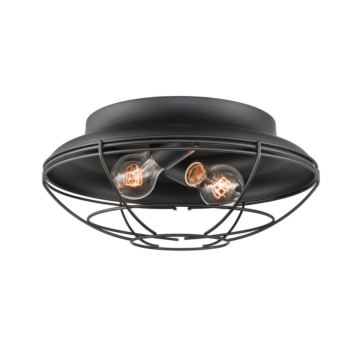 Millennium Lighting Matte Black 2-Light Indoor/Outdoor Flush Mount Fixture