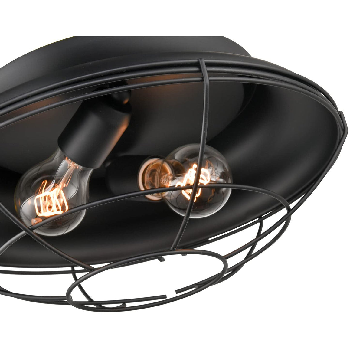 Millennium Lighting Matte Black 2-Light Indoor/Outdoor Flush Mount Fixture