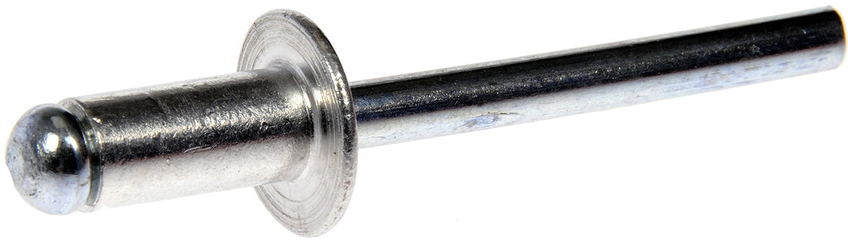 Dorman 963-204D Bumper Blind Rivets 6.35mm - 2 Pack Auto Accessory