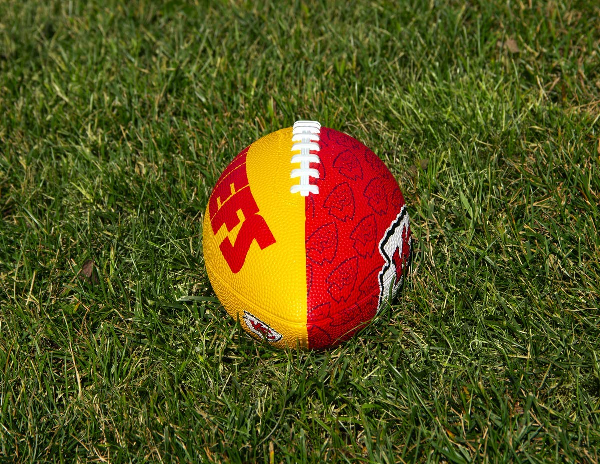 NFL Gridiron Junior Size Youth Football Cleveland Browns Team Pride Gift