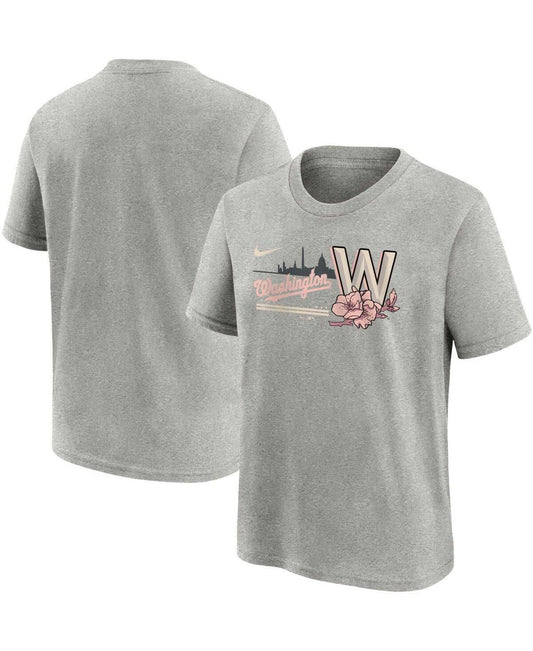 Nike Big Boys Gray Washington Nationals City Connect T-Shirt - MLB Official
