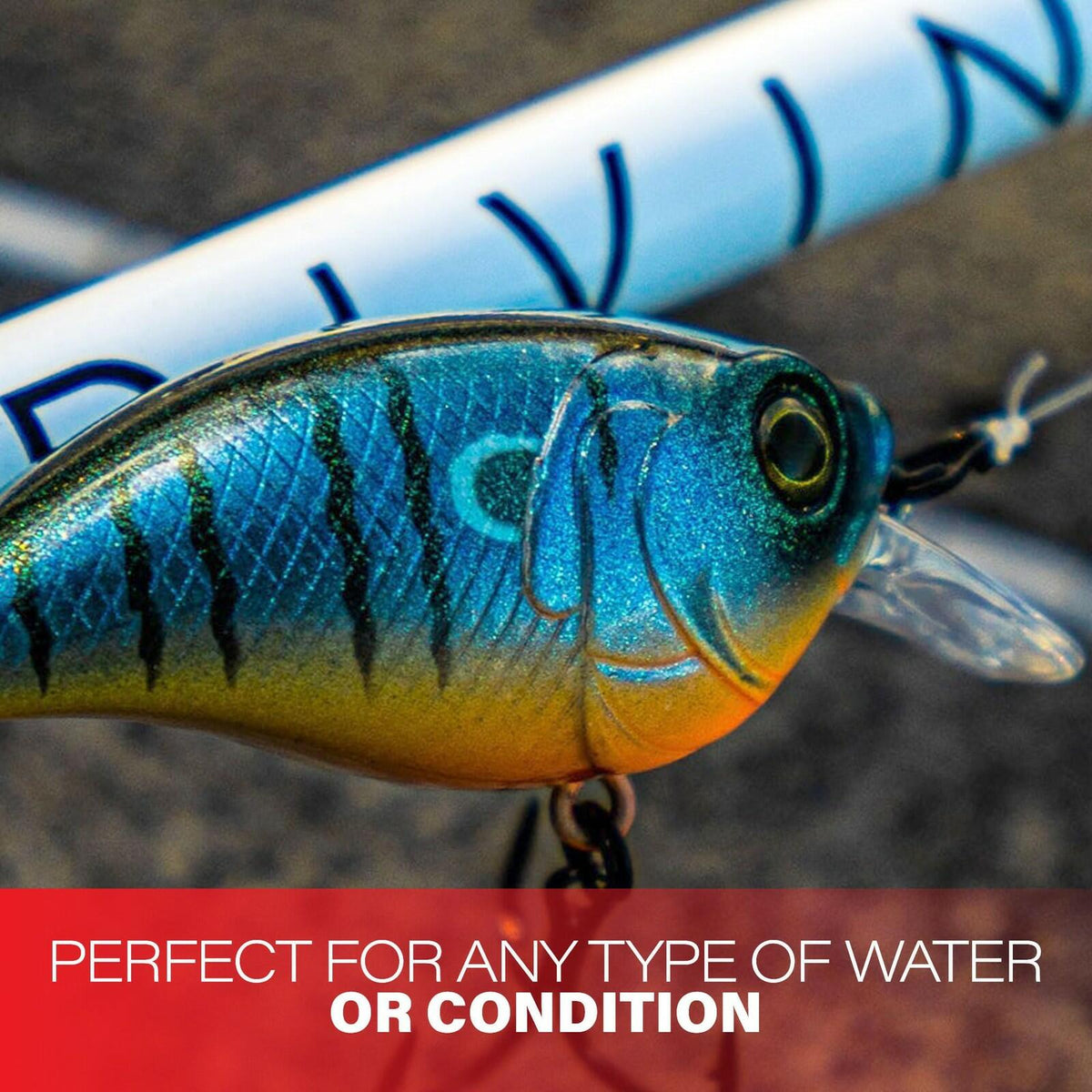 6th Sense Curve 55 Finesse Squarebill Crankbait Boiled Crawfish 1-3ft Lure