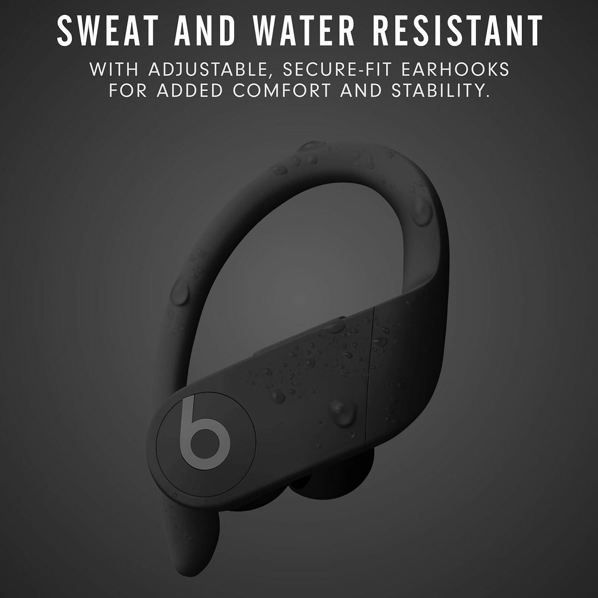Beats Powerbeats Pro Wireless Earbuds - Apple H1 Headphone Chip, Class 1