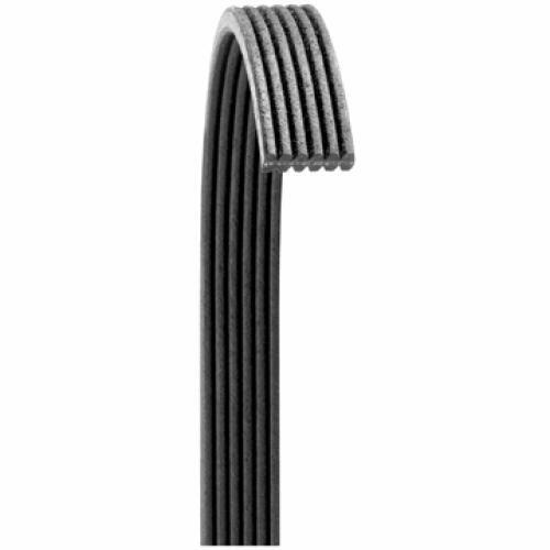 Dayco 6060654 Serpentine Belt Poly Rib V-Ribbed