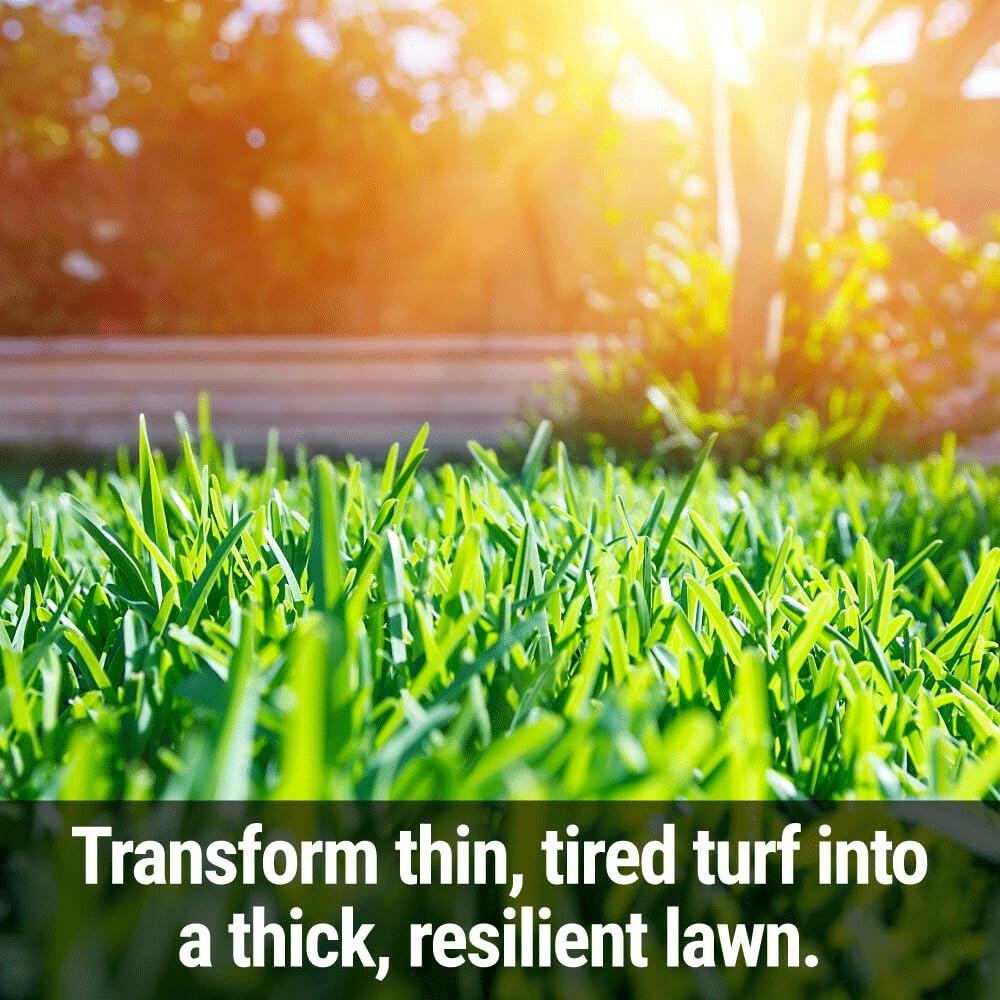 Seedlingers 10 lb Lawn Food Fertilizer - Fix & Feed for Healthy Grass