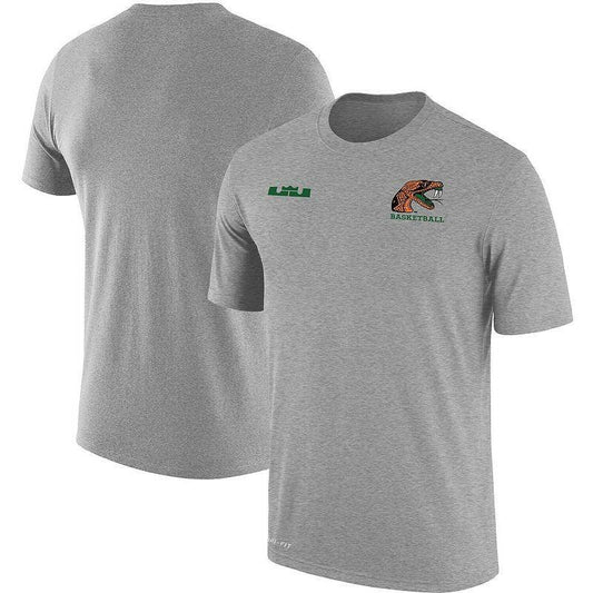 Nike Men's LeBron James Gray Performance T-Shirt Florida A&M Rattlers