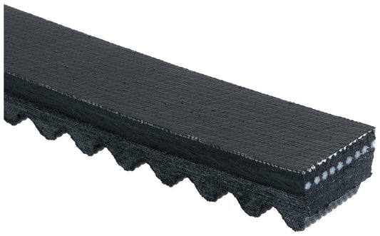 Gates TR22443 Green Stripe V-Belt for Truck & Bus - Heavy-Duty Belt