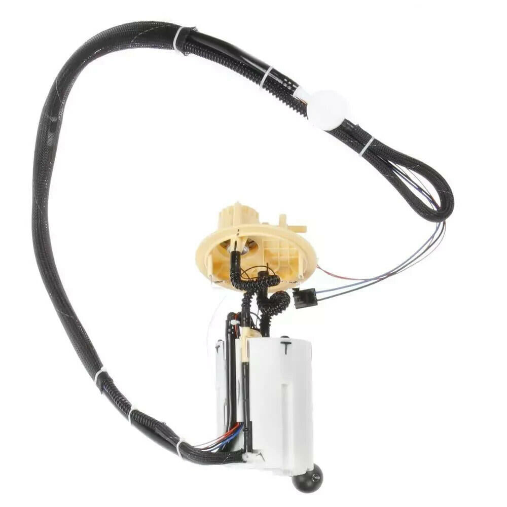Delphi FG1657 Automotive Fuel Pump Medium Quality