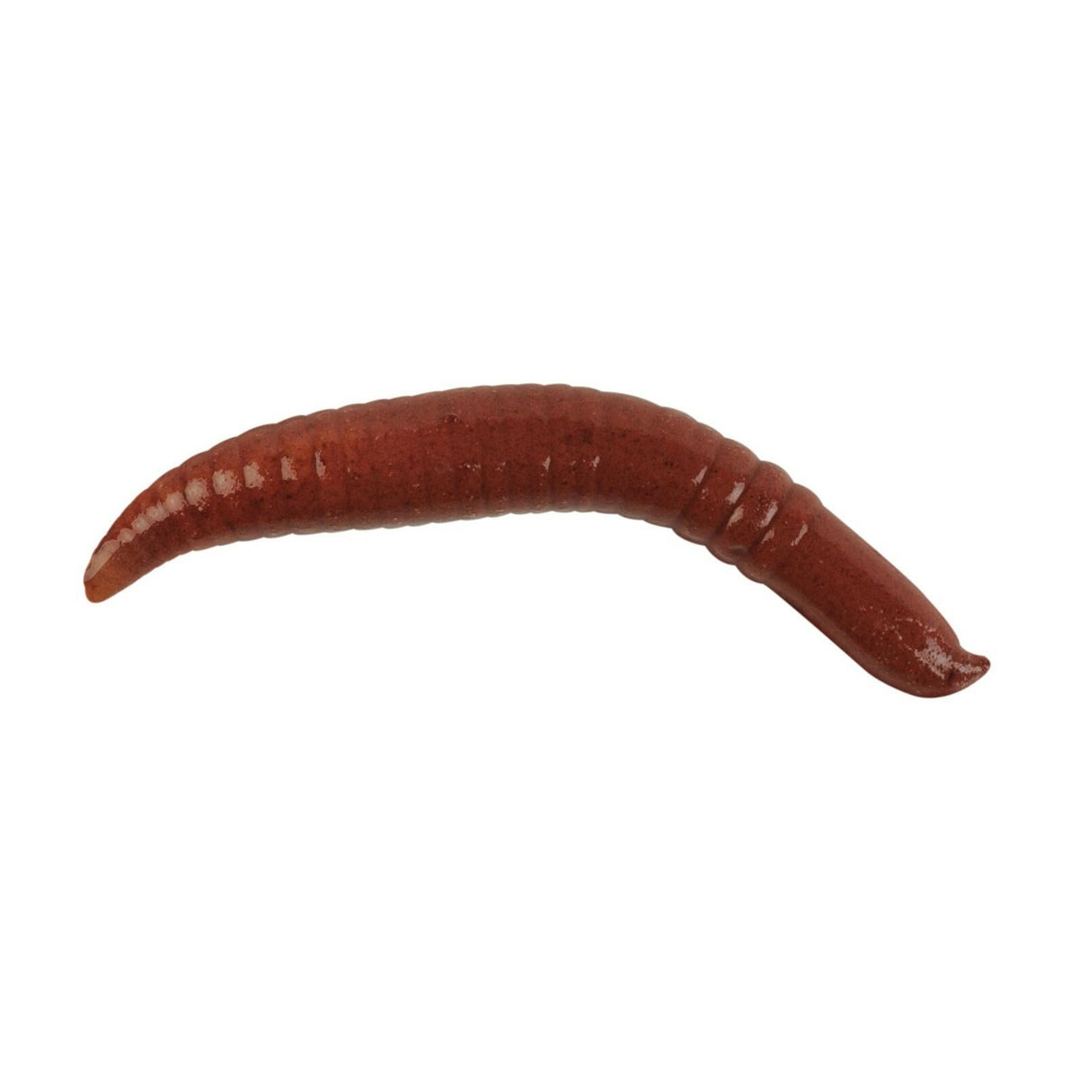 Berkley Gulp Floating Pinched Crawler Nightcrawler Soft Bait 2in Plastic