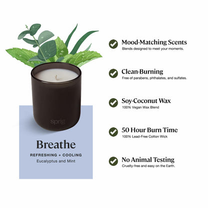 Sprig by Kohler Breathe Aromatherapy Candle with Eucalyptus and Mint, 100% Natural Soy-Coconut Wax, Cooling and Refreshing Scent, Gift for Holidays, 8 oz