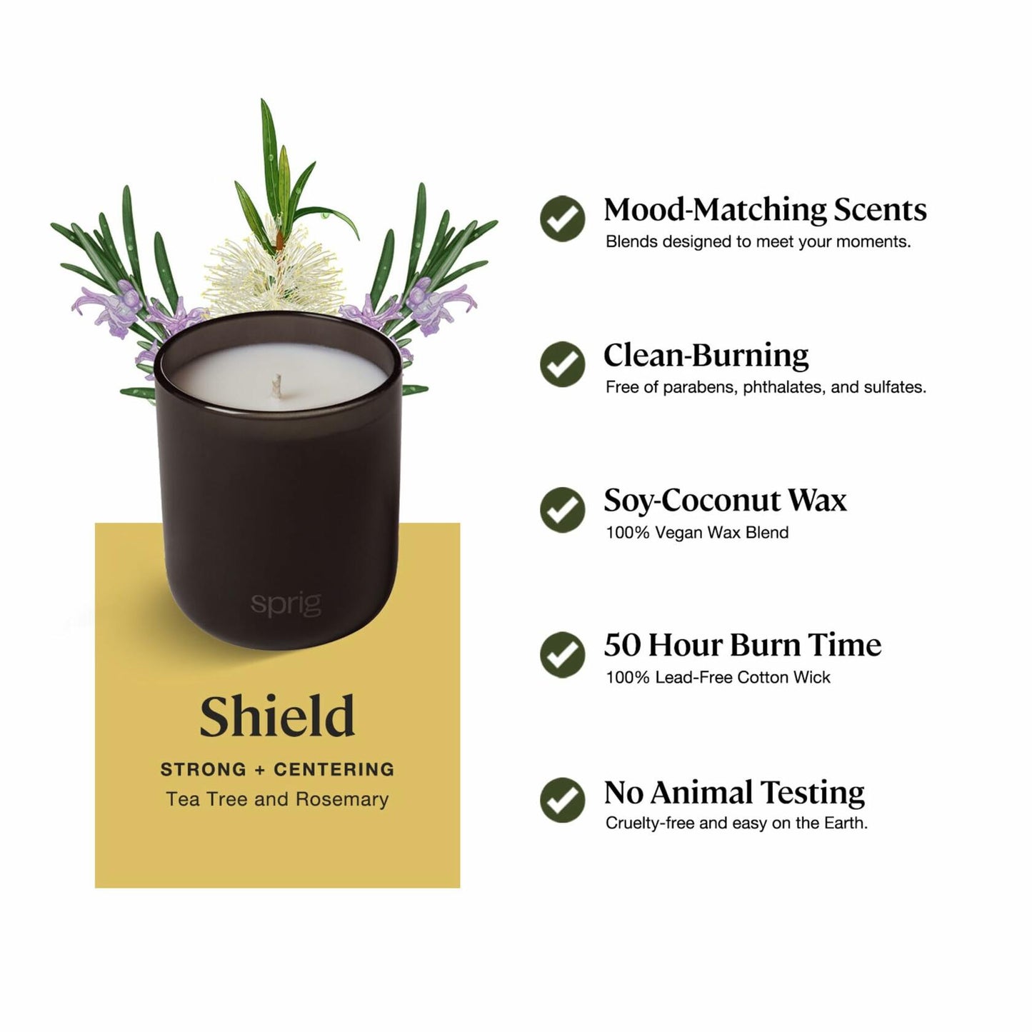 Sprig by Kohler Shield Aromatherapy Candle with Tea Tree and Rosemary, 100% Natural Soy-Coconut Wax, Strong and Centering Scent, Gift for Holidays, 8 oz