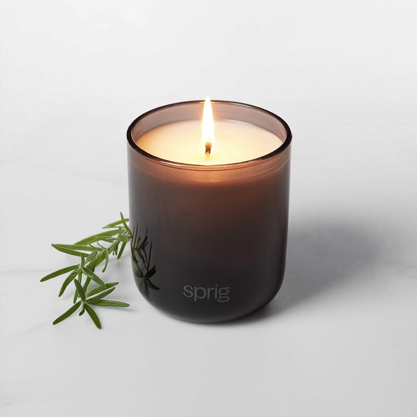 Sprig by Kohler Shield Aromatherapy Candle with Tea Tree and Rosemary, 100% Natural Soy-Coconut Wax, Strong and Centering Scent, Gift for Holidays, 8 oz