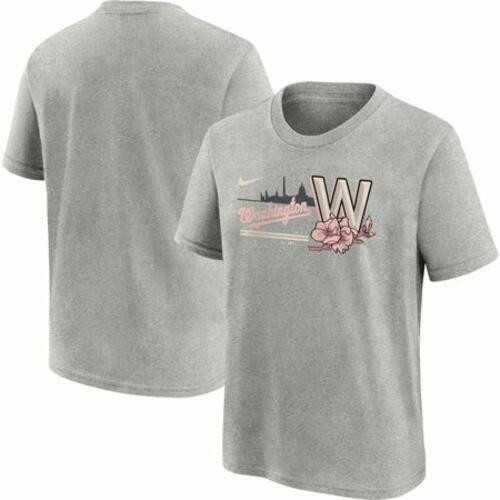 Nike Big Boys Gray Washington Nationals City Connect T-Shirt - MLB Official