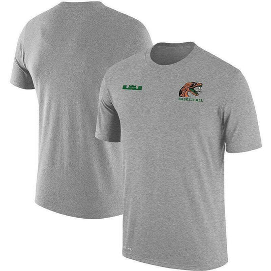Nike Gray x LeBron James Florida A&M Rattlers Performance T-Shirt